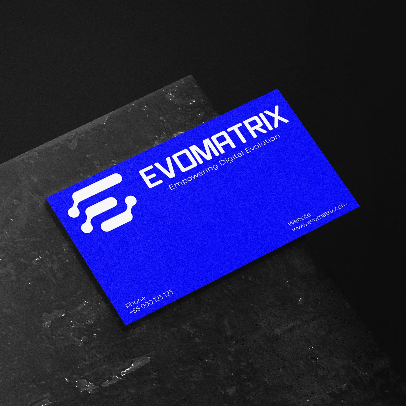 Evomatrix portfolio image 2