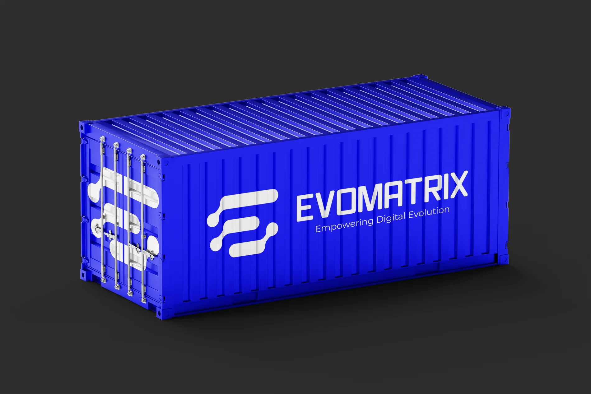 Evomatrix portfolio image 3