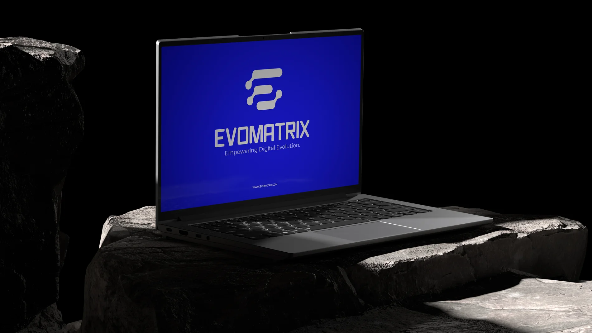 Evomatrix portfolio image 5